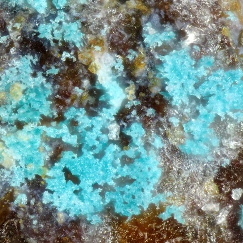 antipinite