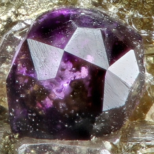 antozonite