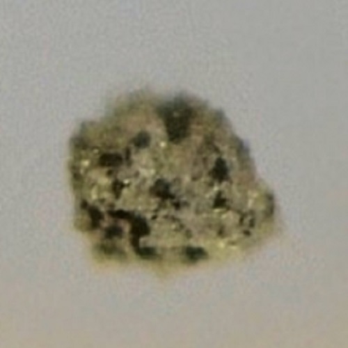 cadmoselite