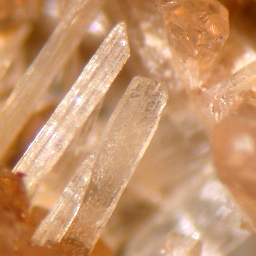 fluorapatite