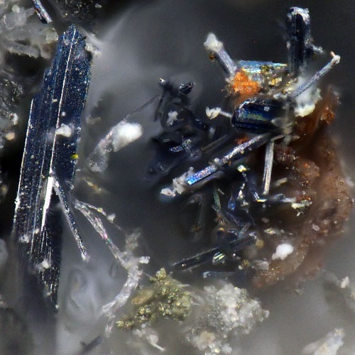 kudriavite