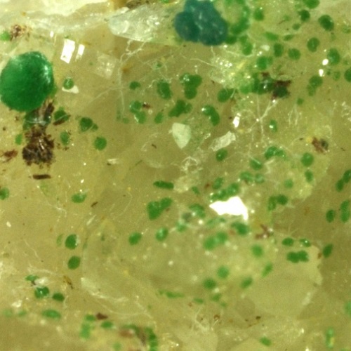 philipsburgite