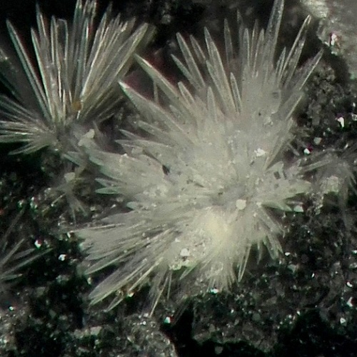 rosenbergite