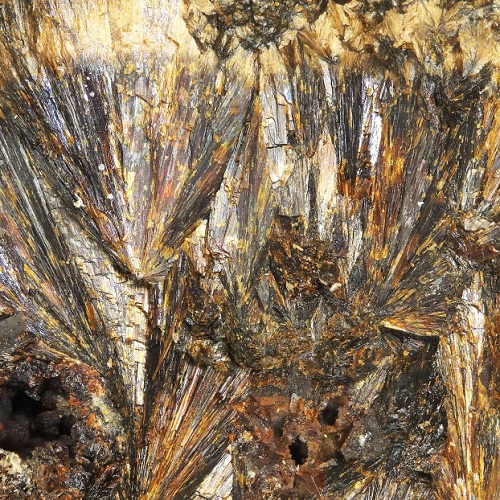 wildenauerite