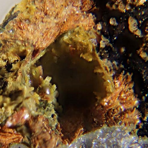 wilhelmg&uuml;mbelite